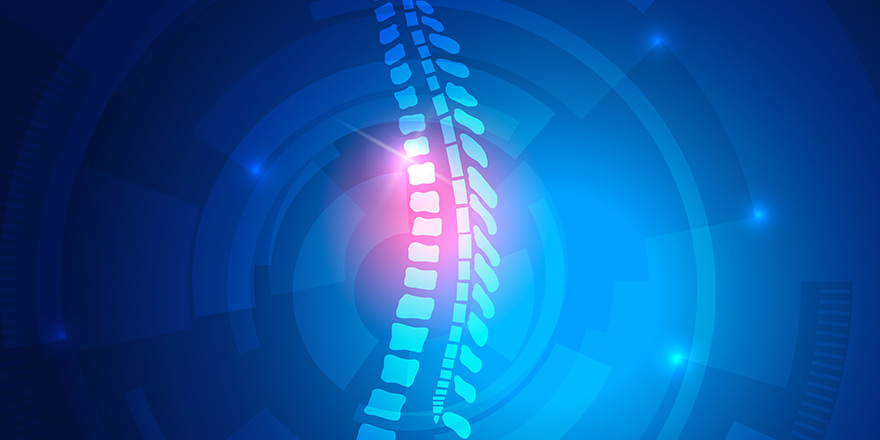 Building the Digital Backbone: Apps That Empower Contemporary Enterprises